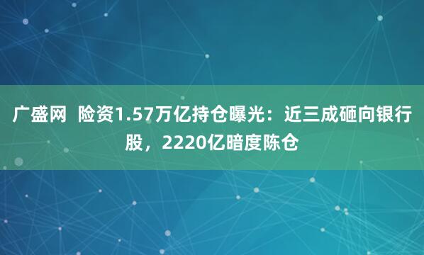 广盛网  险资1.57万亿持仓曝光：近三成砸向银行股，2220亿暗度陈仓