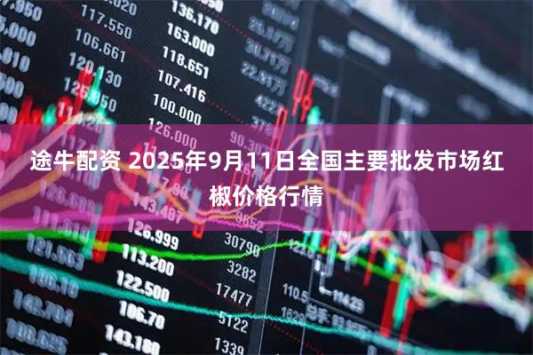 途牛配资 2025年9月11日全国主要批发市场红椒价格行情