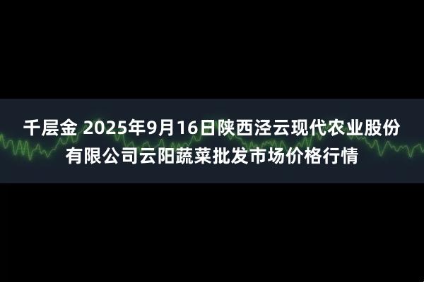 千层金 2025年9月16日陕西泾云现代农业股份有限公司云阳蔬菜批发市场价格行情