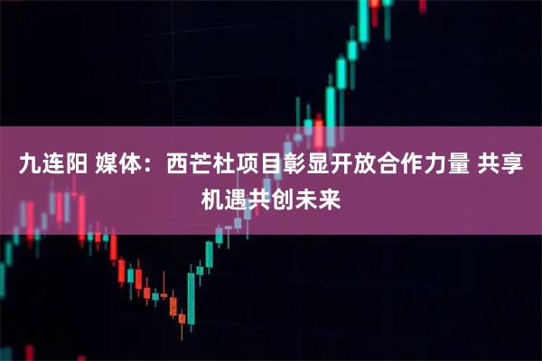 九连阳 媒体：西芒杜项目彰显开放合作力量 共享机遇共创未来