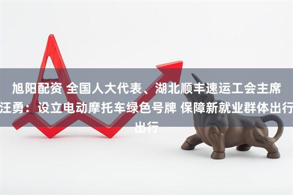 旭阳配资 全国人大代表、湖北顺丰速运工会主席汪勇：设立电动摩托车绿色号牌 保障新就业群体出行